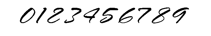 Midnight Sneaker Italic Font OTHER CHARS