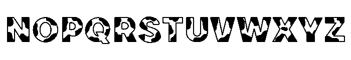 Milk cow Font UPPERCASE