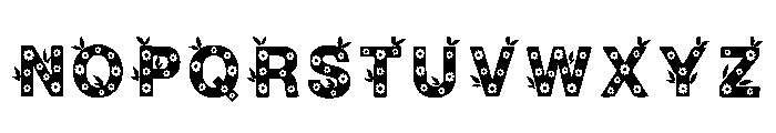 Milla Regular Font UPPERCASE