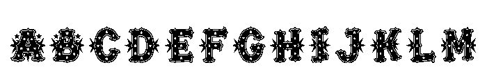 Mincio Regular FONT