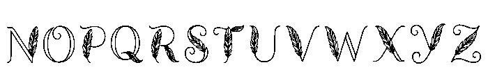 Mitua Regular Font LOWERCASE