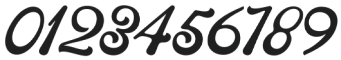 Midnight Pleasure Script Reg otf (400) Font OTHER CHARS