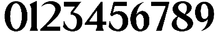 Mizhon Bold Serif otf (700) Font OTHER CHARS