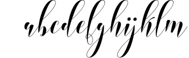 Mini Bundle Calligraphy 5 Font LOWERCASE