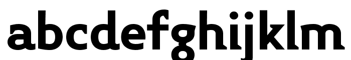 Midiet Serif Bold Font LOWERCASE