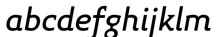 Midiet Serif Italic Medium Font LOWERCASE
