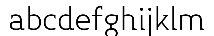 Midiet Serif Light Font LOWERCASE