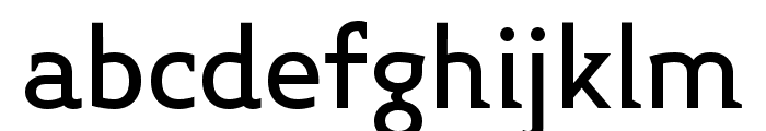 Midiet Serif Medium Font LOWERCASE