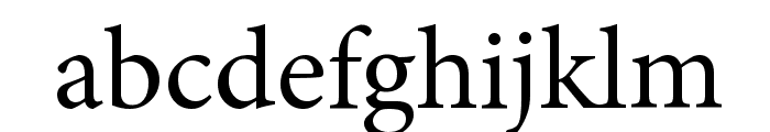 Mignon-Regular Font LOWERCASE