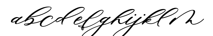Minimalist Script Font LOWERCASE
