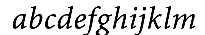 MinionWebPro-Italic Font LOWERCASE