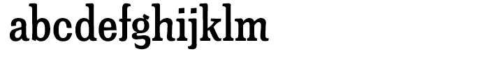 Minernil Medium Condensed Font LOWERCASE
