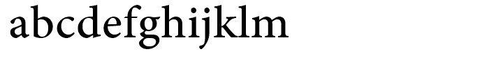 Minion Medium Caption Font LOWERCASE