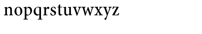 Minion Medium Condensed Caption Font LOWERCASE