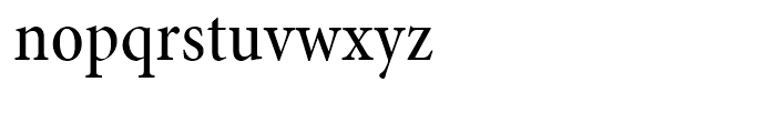 Minion Medium Condensed Subhead Font LOWERCASE