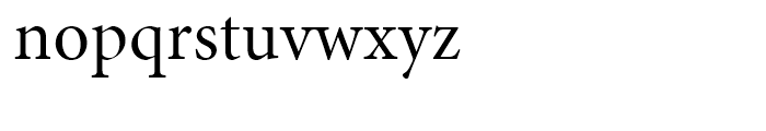 Minion Subhead Regular Font LOWERCASE