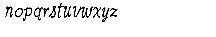 Minya Nouvelle Regular Italic Font LOWERCASE