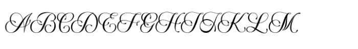 MIO FIoRE Regular FONT