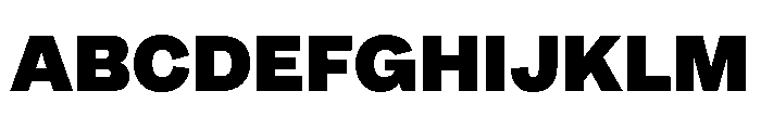 MintGrotesk Heavy Font UPPERCASE