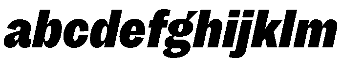 MintGroteskDisplay CondensedBlackItalic FONT