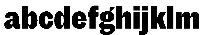 MintGroteskDisplay CondensedBlack FONT
