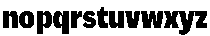 MintGroteskDisplay CondensedBlack Font LOWERCASE