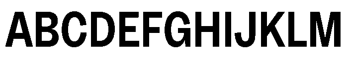 MintGroteskDisplay CondensedBold Font UPPERCASE