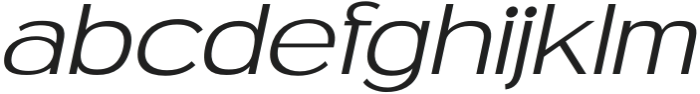 MN Newthon Extra Light Italic otf (200) Font LOWERCASE