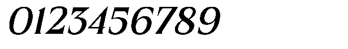 MN Managa Serif Italic Font OTHER CHARS