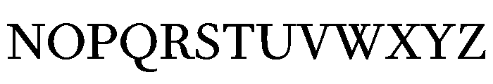 Mon Nicolette Variable Regular Font UPPERCASE