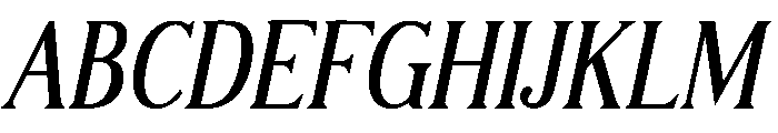 Modern Chic Refined Bold Italic Font UPPERCASE