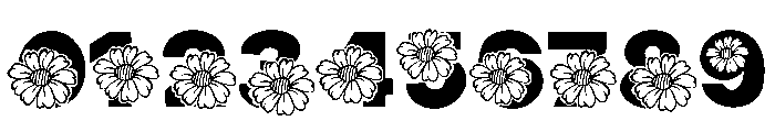 Mom Flower Font OTHER CHARS