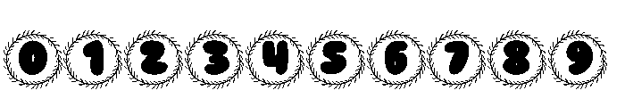 Monogram christmas holly Font OTHER CHARS