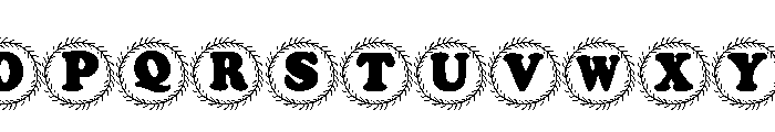 Monogram christmas holly Font UPPERCASE