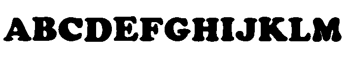 Monogram christmas holly FONT