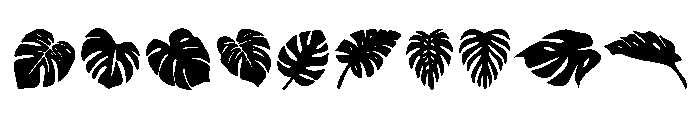 Monstera Leaf Font OTHER CHARS
