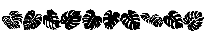 Monstera leaves Font OTHER CHARS