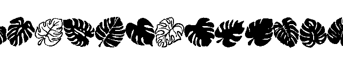 Monstera leaves FONT