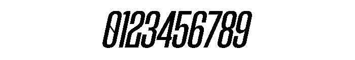 Motrix Italic Font OTHER CHARS