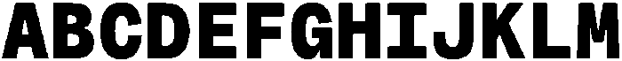Montase Mono Extra Bold otf (700) Font UPPERCASE