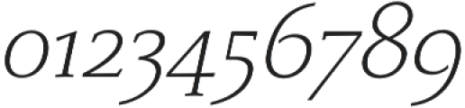 Monterchi Serif Light Italic otf (300) Font OTHER CHARS
