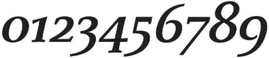 Monterchi Serif otf (700) Font OTHER CHARS