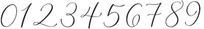 Monterey Script Swashes 1 otf (400) Font OTHER CHARS