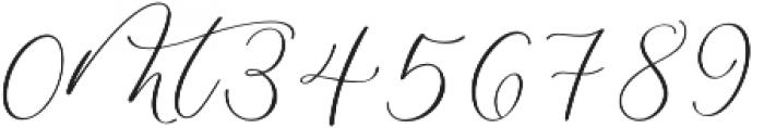 Monterey Script Swashes 3 otf (400) Font OTHER CHARS