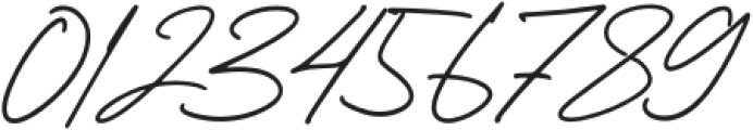 Mountain Signature otf (400) Font OTHER CHARS