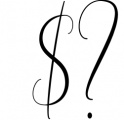 Modern Calligraphy - Font Bundle 4 Font OTHER CHARS