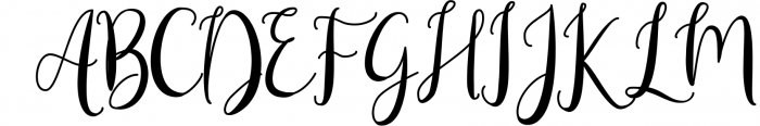 Modern Calligraphy - Font Bundle 4 Font UPPERCASE