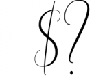 Modern Calligraphy - Font Bundle 6 Font OTHER CHARS