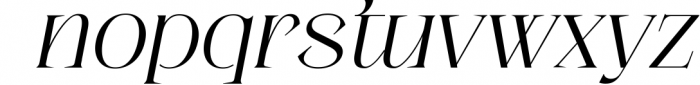 Modern Elegant Serif Font - Ageya 1 Font LOWERCASE