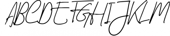 Molita Signature Script Font Font UPPERCASE